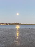 Auckland Serenity - B&B Auckland