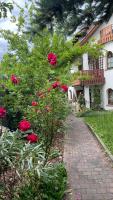 Rose & Oak Apartment - Ferienwohnung Büdingen