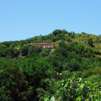 Bed and Breakfast Sant'Agata - B&B Palinuro