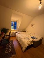 Cosy room in attic flat in the center of Zurich - Chambres d'hôtes Zurich