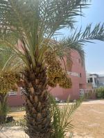 شالية الاسطورة - B&B Al Khīrān