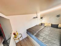 The Secret of Secrets apartment - B&B Prague