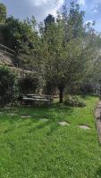 Prunus Avium Blevio lake view and private garden - Ferienwohnung Blevio