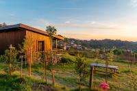 Refúgio na vinha com piscina privada - VirguWines - Ferienwohnung Cabana Maior