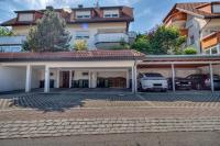 3Seen - Kino - Grill - Feldberg - Schluchsee - Ferienwohnung Feldberg