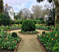 Comfortable 1BR Myers Park Oasis - B&B Charlotte