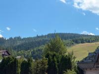 The Alpine Nest Apartament - B&B Vatra Dornei