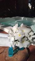 4 Elementos Guest House - Ferienwohnung Arraial d'Ajuda