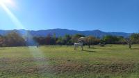 Calandrias in Bendita Tierra - B&B Los Molles