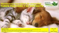 Gardunha Apartments Avenida V - Bed and Breakfast Fundão