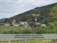 Ferienwohnung Fernblick Pfalz - mit Sauna - Ferienwohnung Weyher