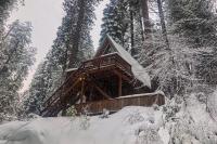 Peaceful Pine Getaway - B&B Dorrington