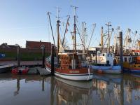 Ferienwohnungen Meerhuus_ 45229 - Chambres d'hôtes Ditzum