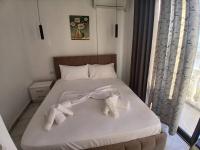 Room #1613722408
