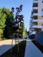 Oder View Apartment I Free Underground Parking I Cozy & Quiet I Spacious Balcony - B&B Szczecin