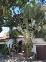 Apartment in Colonial House I Laureles I Quiet Street - B&B Medellín