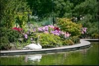 ЖК Бизнес Класса Elif Garden - Bed and Breakfast Gul’dala