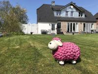 Ferienwohnung Sonnentraum - B&B Bannesdorf