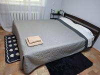 Cozy Grey Studio - Ferienwohnung Chişinău