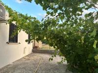 Casa Clé - Residenza in campagna - B&B Petacciato