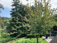 Jumbana , deluxe large country home close to London, great transport links to Gatwick - Chambres d'hôtes Kenley