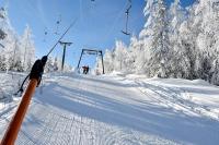Stuga Lucy i Hassela -naturupplevelser - B&B Hassela