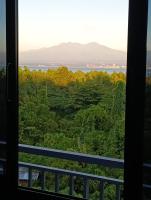 Samal Hillside Inn - B&B Samal