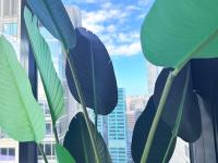 Sydney CBD New 2 bedroom Condo with amazing view Pool Gym 2 - B&B Sydney