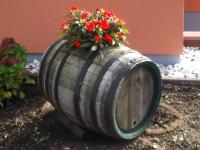 Ferienweingut Rainer Beitzel - B&B Kröv