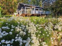Bluebird Cottage - B&B Camano