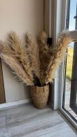 ADAM Guest House - Bed and Breakfast Kadzhi-Say