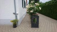 Ferienwohnungen Michaela Bucher - Ferienwohnung Friedrichshafen