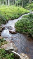 Wildwood banasura resort - B&B Padinjarathara