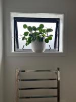 Modern ensuite master bedroom in a shared home - Ferienwohnung Hamilton