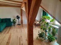 Green attic - Chambres d'hôtes Poznan