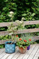 The Sash House - B&B Southwell