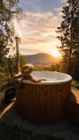 Mountain View Room mit sonnigem Wintergarten - B&B Dietmannsdorf bei Trieben