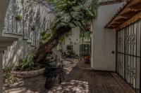 Casa Mezquite - Chambres d'hôtes San Miguel de Allende