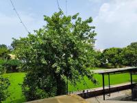 Avenaa Homestay Dehradun - B&B Dehradun