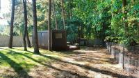 Między Drzewami - Between the Trees - Wisełka - B&B Wisełka