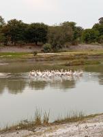 Makgadikgadi Riverview Inn - B&B Nata