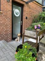 Ferienwohnung Appartement am Wildpark Bad Harzburg - Chambres d'hôtes Bad Harzburg