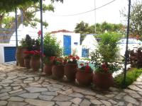 Seafront House in Katakolo - B&B Katákolo