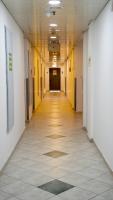 אלמוגי אוראל - B&B Eilat