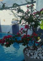 Casa de veraneio - FA Beach - Bed and Breakfast Conde