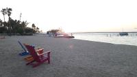 Nice and Cozy studio very close to the boardwalk and the beach - Chambres d'hôtes La Paz