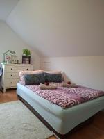 Studio mit Schlafsofa