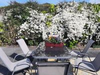 The Courtyard Apartments - Cahir Heritage Town - B&B Caher