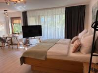Eckis Saeck 1-Zimmer-Appartement Kochzeile WLAN Parkplatz - B&B Bad Säckingen