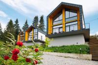 cottages GRUN - Ferienwohnung Yablunytsia